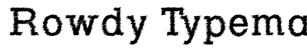 Rowdy Typemachine font preview